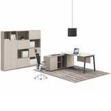 Modern Design Furniture Workstation NSM-01