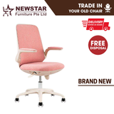 Newstar Home Schick Study Chair