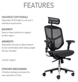 Ergohuman Enjoy Mesh Chair
