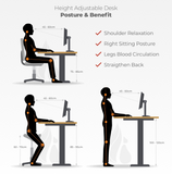 Newstar Height Adjustable Office Table, Workstation Table