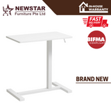 Mobile Table / Standing Computer Table / Desk