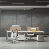 Modern Design Furniture Workstation NSM-03