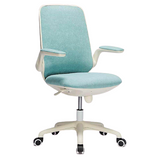 Newstar Home Schick Study Chair