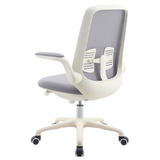 Newstar Home Schick Study Chair