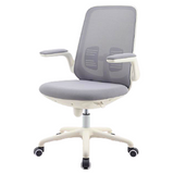 Newstar Home Schick Study Chair