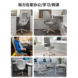 Newstar Home Schick Study Chair