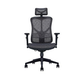 Newstar OFC Ergonomic Full Mesh Office Chair