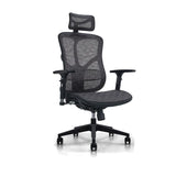 Newstar OFC Ergonomic Full Mesh Office Chair