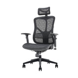 Newstar OFC Ergonomic Full Mesh Office Chair