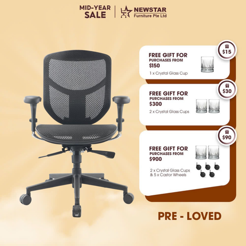 Ergohuman Enjoy Mesh Chair