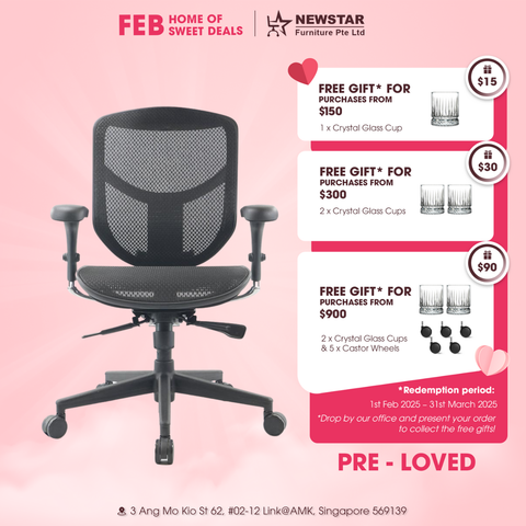 Ergohuman Enjoy Mesh Chair