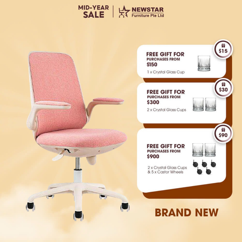 Newstar Home Schick Study Chair