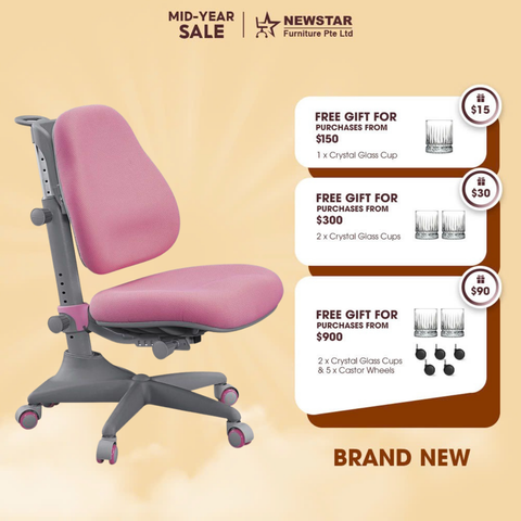 Ergonomic Kids Chair, Study Chair