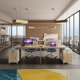 Modern Design Furniture Workstation NSM-05