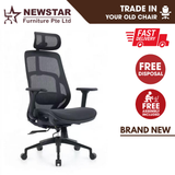 Newstar AeroFlex Ergonomic Mesh Chair