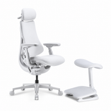 LiberNovo Omni Pro Dynamic Ergonomic Office Chair — Motorised Lumbar Support & Active Airflow | Singapore