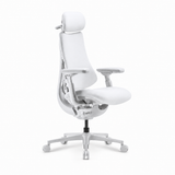 LiberNovo Omni Pro Dynamic Ergonomic Office Chair — Motorised Lumbar Support & Active Airflow | Singapore