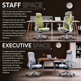 Parke Ergonomic Mesh Office Chair with Headrest