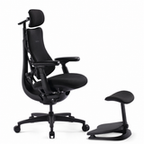 LiberNovo Omni SE Ergonomic Chair — Dynamic Spinal Support for Long-Hour Sitting | Singapore