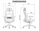 Newstar AeroFlex Ergonomic Mesh Chair