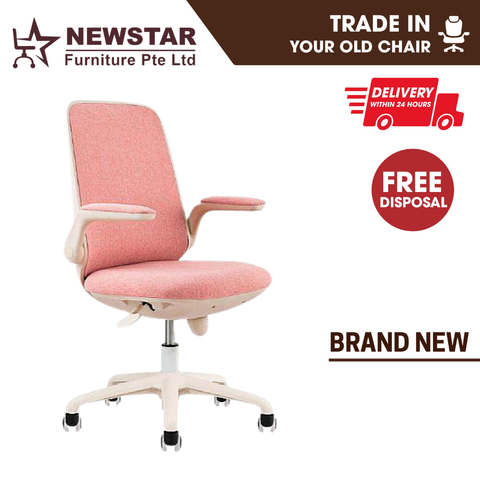 Newstar Home Schick Study Chair