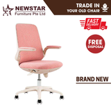 Newstar Home Schick Study Chair