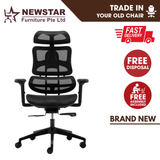 Newstar Luxe Ergonomic Chair