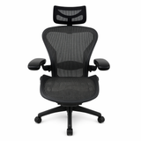 Professionally Reconditioned Herman Miller Aeron Classic Chair| Singapore