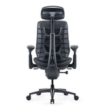LiberNovo Maxis Airflow ergonomic chair in Graphite Black — rear view of the Bionic FlexFit backrest