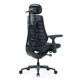 LiberNovo Maxis Manual ergonomic chair in Graphite Black — rear view of the Bionic FlexFit backrest