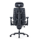 LiberNovo Maxis Manual ergonomic chair in Graphite Black — rear three-quarter view of the backrest and linkage