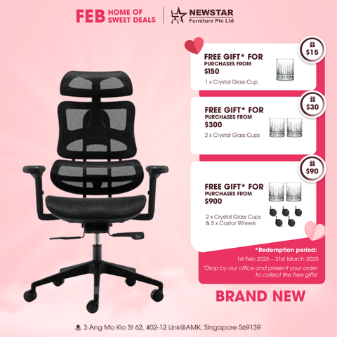 Newstar Luxe Ergonomic Chair