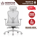 Parke Ergonomic Mesh Office Chair with Headrest