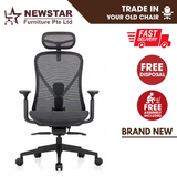 Parke Ergonomic Mesh Office Chair with Headrest