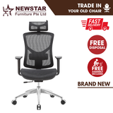 Ergonomic Full Mesh Office Chair