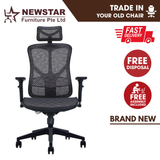 Newstar OFC Ergonomic Full Mesh Office Chair