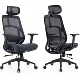 Newstar AeroFlex Ergonomic Mesh Chair