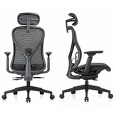 Parke Ergonomic Mesh Office Chair with Headrest