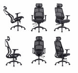Newstar AeroFlex Ergonomic Mesh Chair
