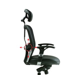 [NEW] Q-mesh Ergonomic Chair