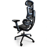 Newstar Luxe Premium Ergonomic Office Chair — Executive Comfort | Singapore