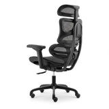 Newstar Luxe Premium Ergonomic Office Chair — Executive Comfort | Singapore