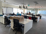 Office Staff Workspace - Maximus