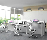 NewStar Height Adjustable Office Table, Office Desk, Workstation Table, Adjustable Height, White, Beige, Work Table