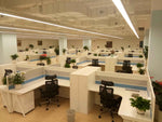 Office Interior C - Innovation